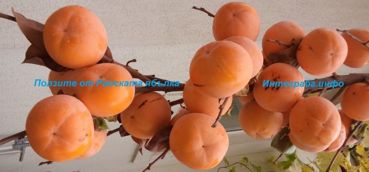 Ползите от Райската ябълка
